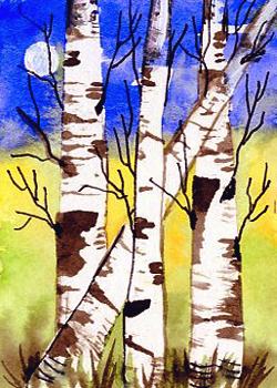 Birch Shirley A Diedrich Fitchburg WI watercolor